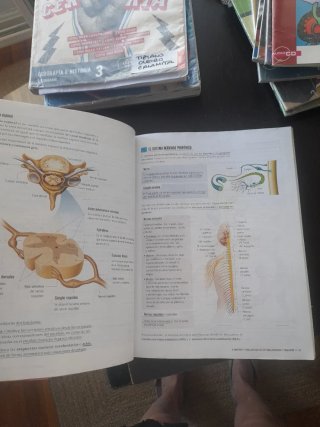 Proyecto: FanFest - Biología y Geología 3 ESO