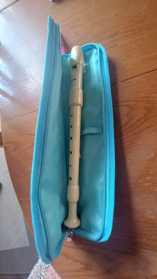 Flauta dulce con estuche