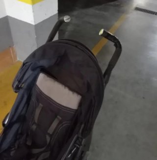 Inglesina Trilogy + silla asalvo 0 + paseo  chico