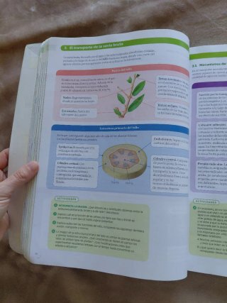 Biología, Geología y Ciencias Ambientales 1 Bac...