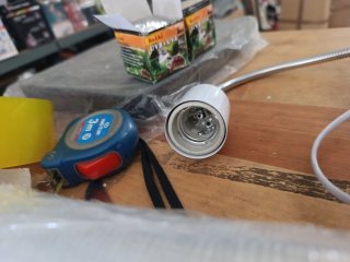 Lámpara de pinza con bombilla