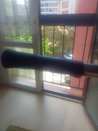 Patinete Patín Scooter