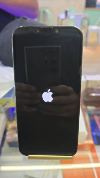 iPhone 13 Pro Max 512GB