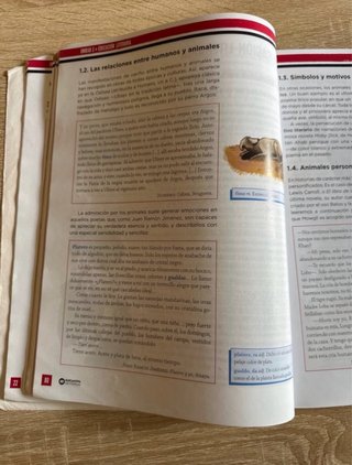 Lengua Castellana, 2 ESO, Programa Carmen de Bu...