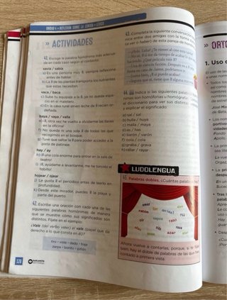 Lengua Castellana, 2 ESO, Programa Carmen de Bu...