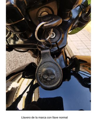Harley Davidson Street 750 Negra