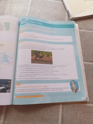 Matemáticas B, 4 secundaria, Revuela