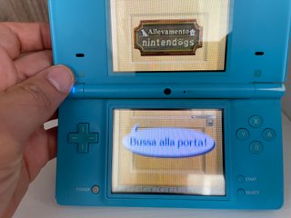 Nintendogs Labrador e Amici Nintendo Ds Originale