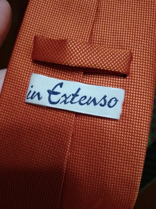 Lote de 10 Corbatas Variadas.