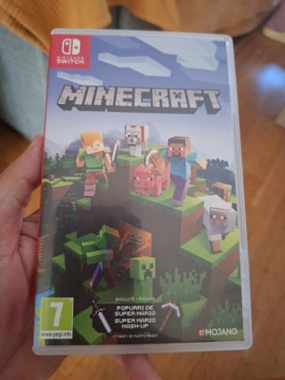 Minecraft Nintendo Switch