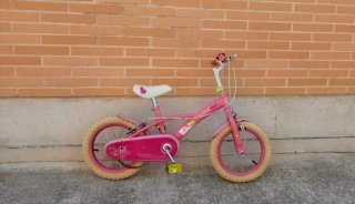 Bicicleta Infantil WoodSun 14 Rosa