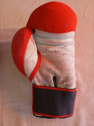 Guantes de boxeo Fuji Mae 12 oz