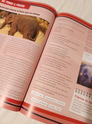 Lengua castellana, 1 ESO, Programa Carmen de Bu...