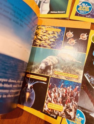 (6 libros) National Geographic Kids Nivel 3