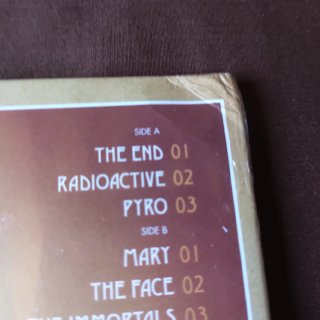 Kings of Leon Come Around Sundown 2 Vinili