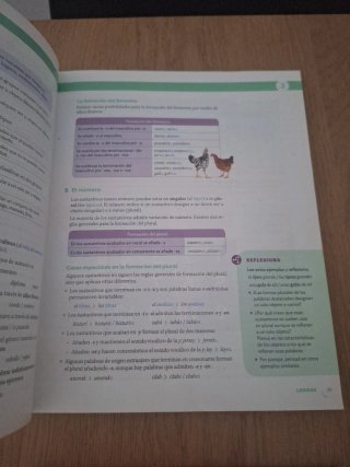LENGUA CASTELLANA Y LITERATURA 1 ESO CONSTRUYEN...
