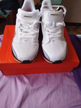 Zapatillas Nike Pegasus Hombre/Mujer