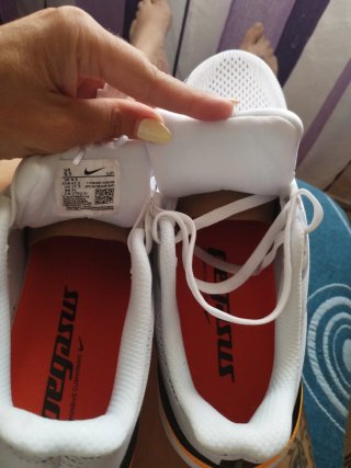 Zapatillas Nike Pegasus Hombre/Mujer