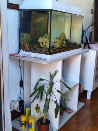 Acuario con filtro y decoración