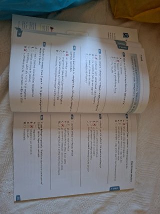 Libro scolastico Invalsi a 360 gradi con soluzioni