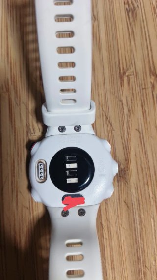 Garmin Forerunner 45S Blanco