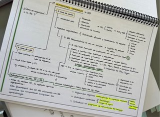 Esquemas oposiciones pedagogía terapéutica