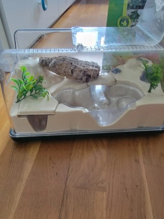 Terrario Insecticefa Plus