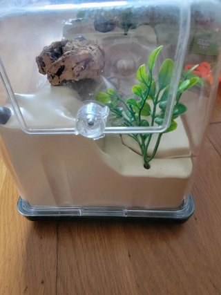 Terrario Insecticefa Plus
