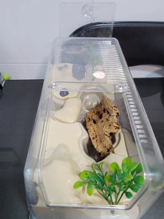Terrario Insecticefa Plus