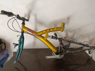 Cuadro Bicicleta BH Dorado