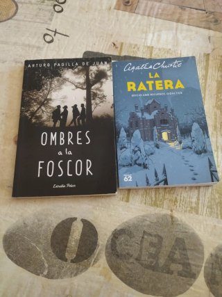 Puntal 2. Llengua catalana i Literatura 2 ESO