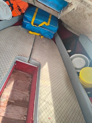 Glastron Mini Day