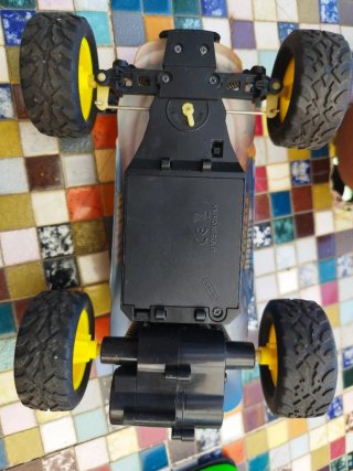 Coche teledirigido LIZARD SPEED