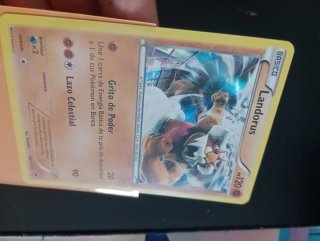 Lote Cartas Pokémon antiguas