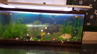 Filtro Acuario JBL CristalProfi e1502 y acuarios.