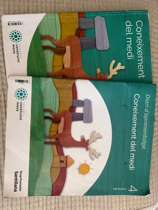 Coneixement del medi, 4 Primària, Projecte Cons...