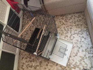 Jaula grande para pájaros