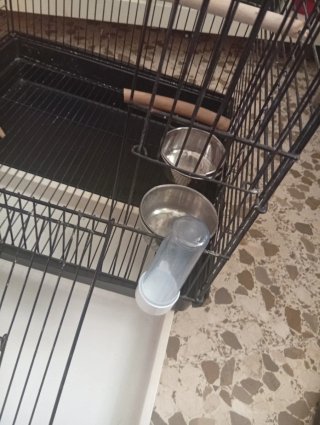 Jaula grande para pájaros