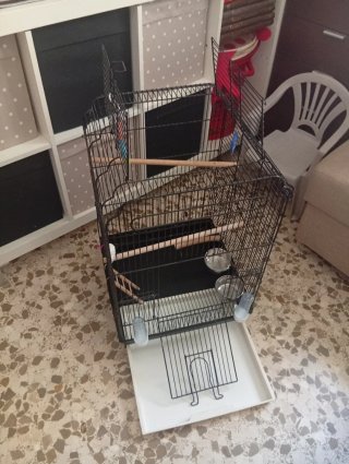 Jaula grande para pájaros