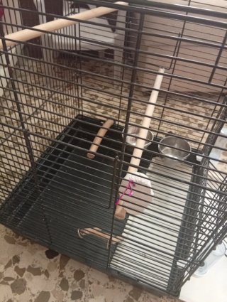 Jaula grande para pájaros