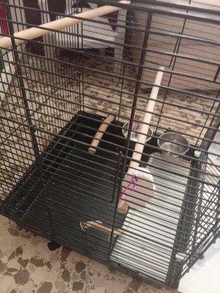 Jaula grande para pájaros
