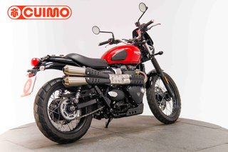 TRIUMPH SCRAMBLER 900