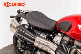TRIUMPH SCRAMBLER 900