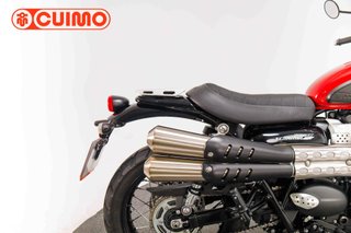 TRIUMPH SCRAMBLER 900