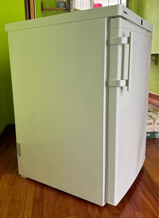 Congelador Liebherr Blanco