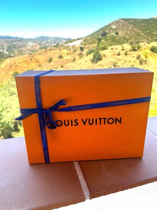 Bolso Louis Vuitton bandolera negro