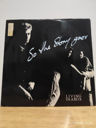 Lote 6 Vinilos 12" — Synth-pop