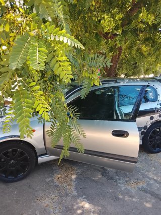 Nissan Almera 2005