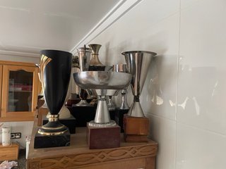 Lote de Trofeos Varios