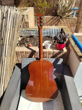 Guitarra Acústica Palmer P41N